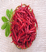 ӡ��S17���� ��������11�f-13�fSHU��