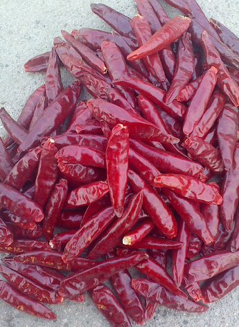 �t̫ꖸ���������������6�f����SHU��