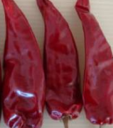 �涼�t��΢������1�f����SHU��