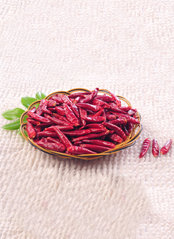 ������(������������4�f-8�fSHU)