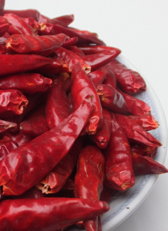 ��һ���t������������5�f-6�fSHU��