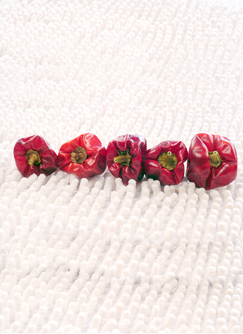 ���\������������5�f����SHU��