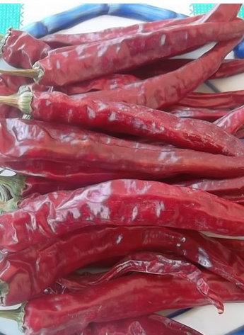 �涼�t��΢������1�f(w��n)����SHU��