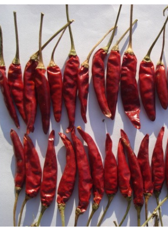 �涼�t��΢������1�f(w��n)����SHU��