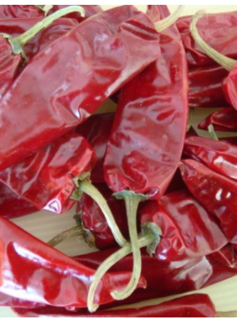 �涼�t��΢������1�f(w��n)����SHU��