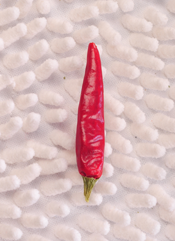 �M(m��n)���ǣ���������10�f(w��n)����SHU��