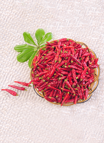 �M(m��n)���ǣ������ͣ�10�f(w��n)����SHU��