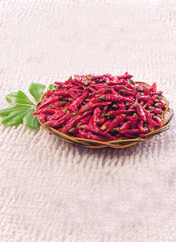 �M(m��n)���ǣ���������10�f(w��n)����SHU��