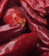 �ӏ��^����������4�f-5�fSHU��