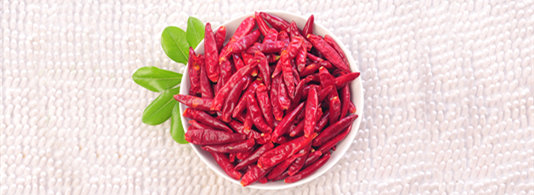 ������(������������4�f-8�fSHU)