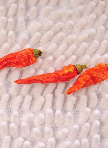 ���������������ͣ�12�fSHU)