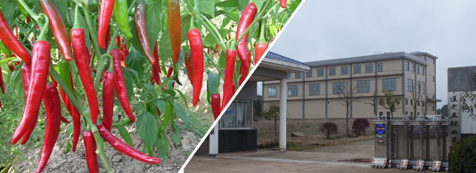 ������������������10-11SHU��