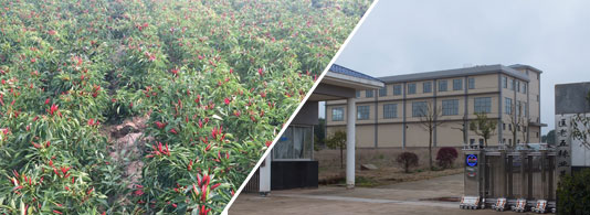 ����������ͣ�7�f(w��n)����SHU��