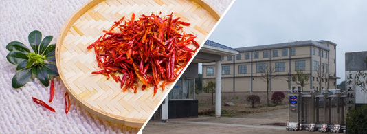 ��Ʒ�����z