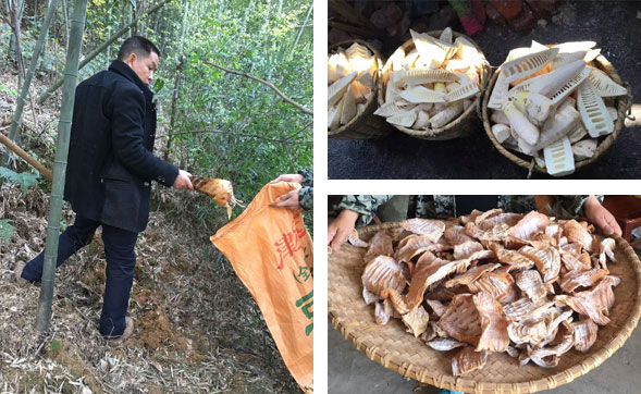 ���������l(f��)�Ј�(ch��ng)