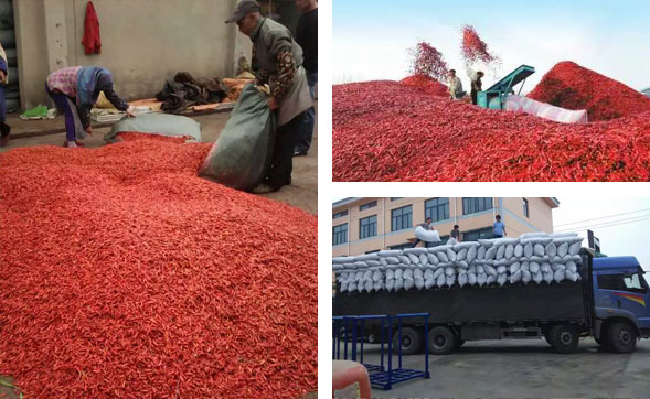 ���ϸ��������l(f��)