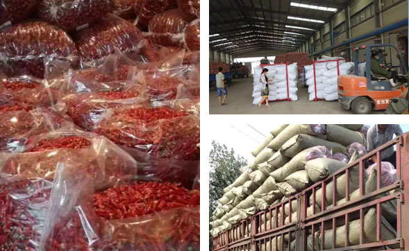 ���������l(f��)