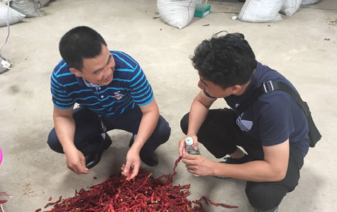 ��(y��u)�|(zh��)������